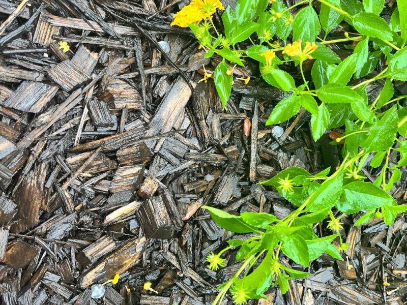 “How Long Will the WiFi Be&nbsp;Out?”